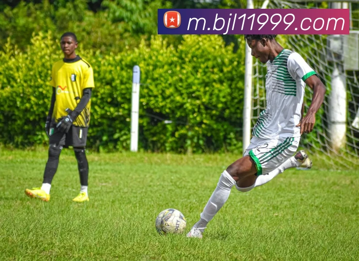 百家乐网站发展历程